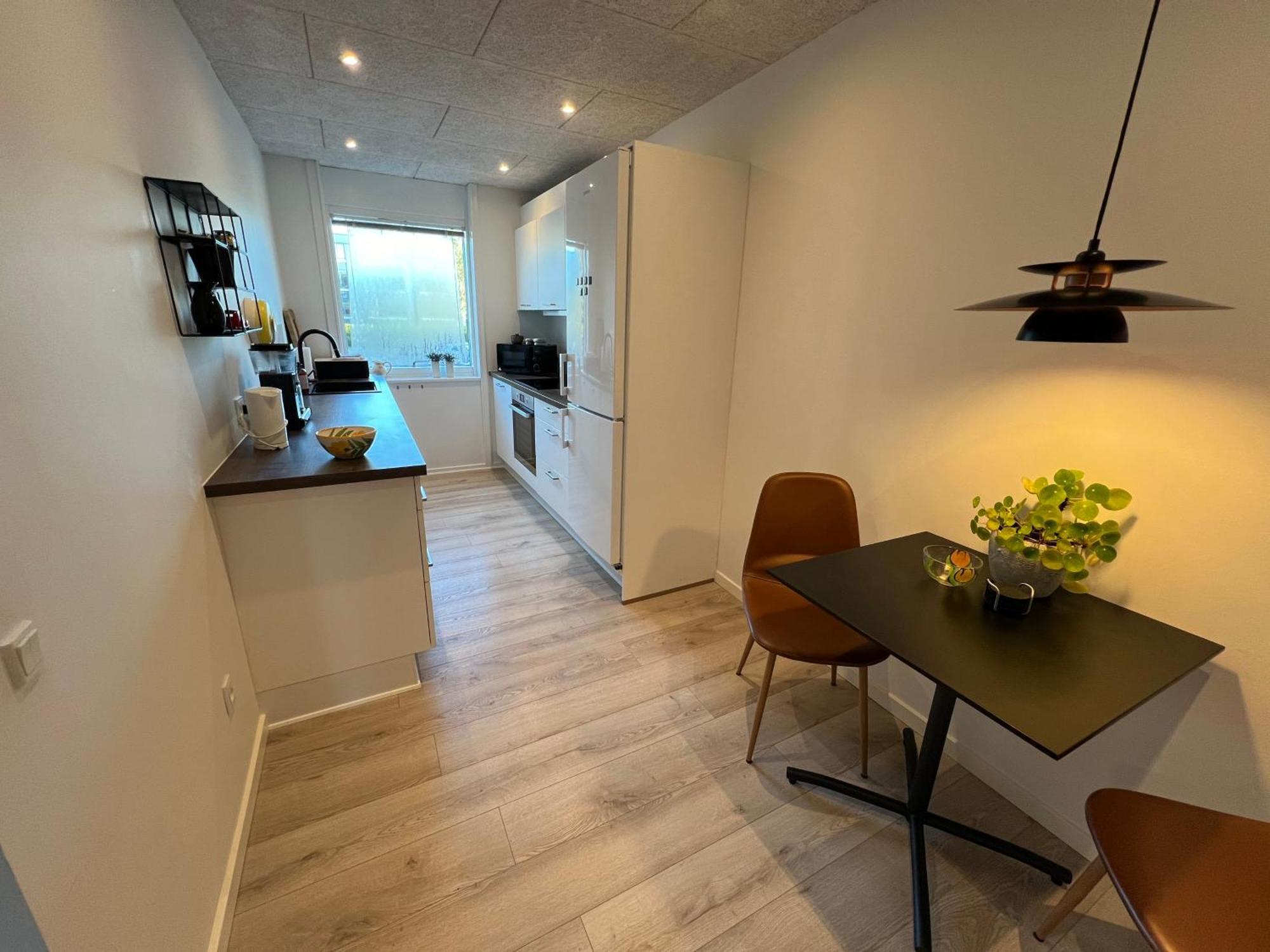 Nyrenoveret Lejlighed Med Balkon Og Parkering Есбер Екстериор снимка